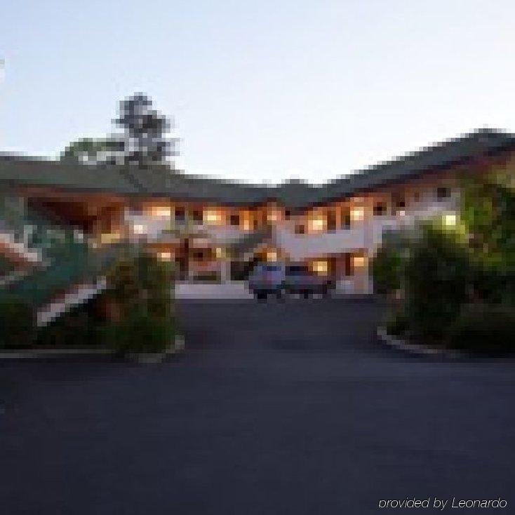 Ashwood Manor Motor Lodge Hamilton Eksteriør bilde